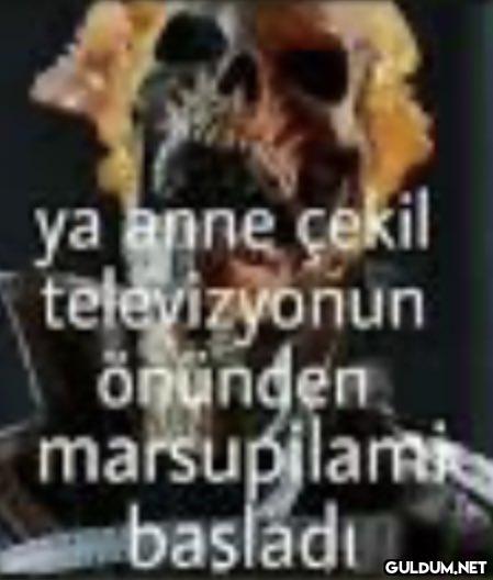 ya anne çekil televizyonun...