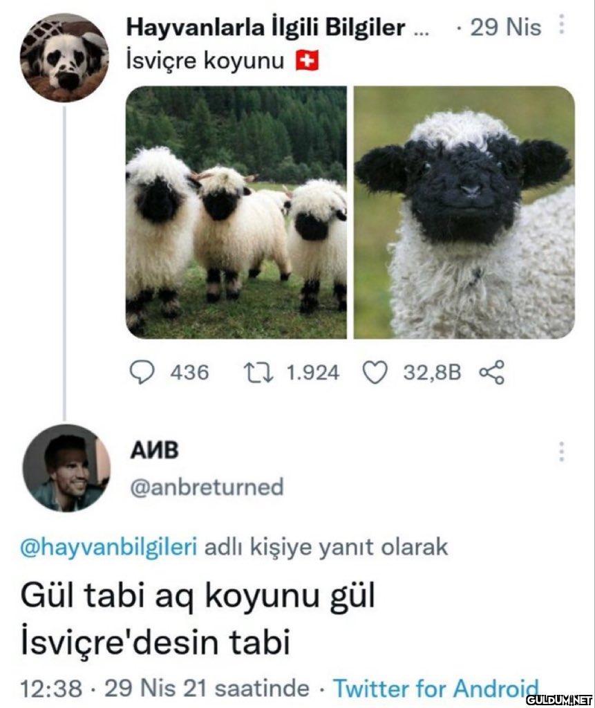 Hayvanlarla İlgili...