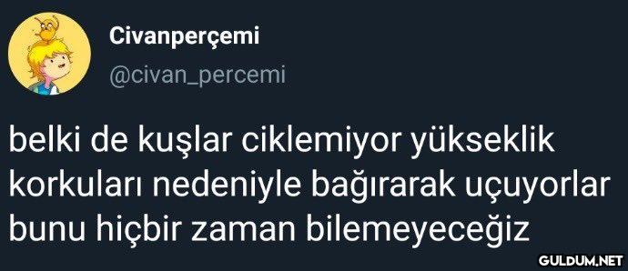 Civanperçemi...