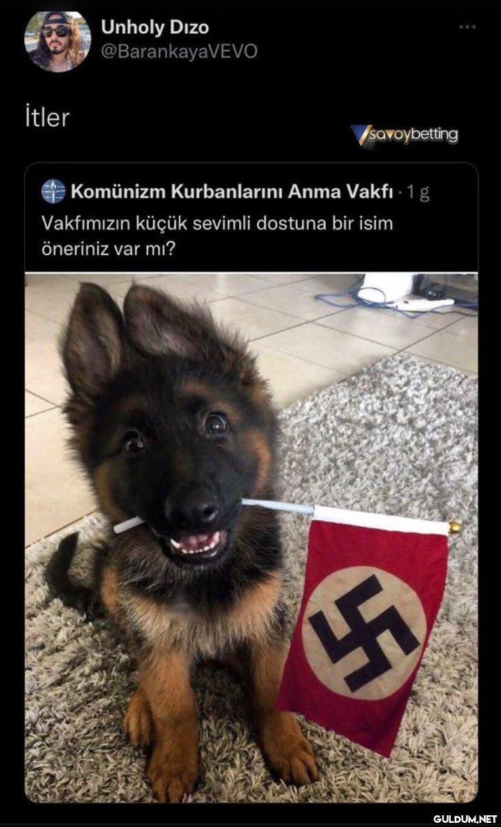 İtler Unholy Dizo...