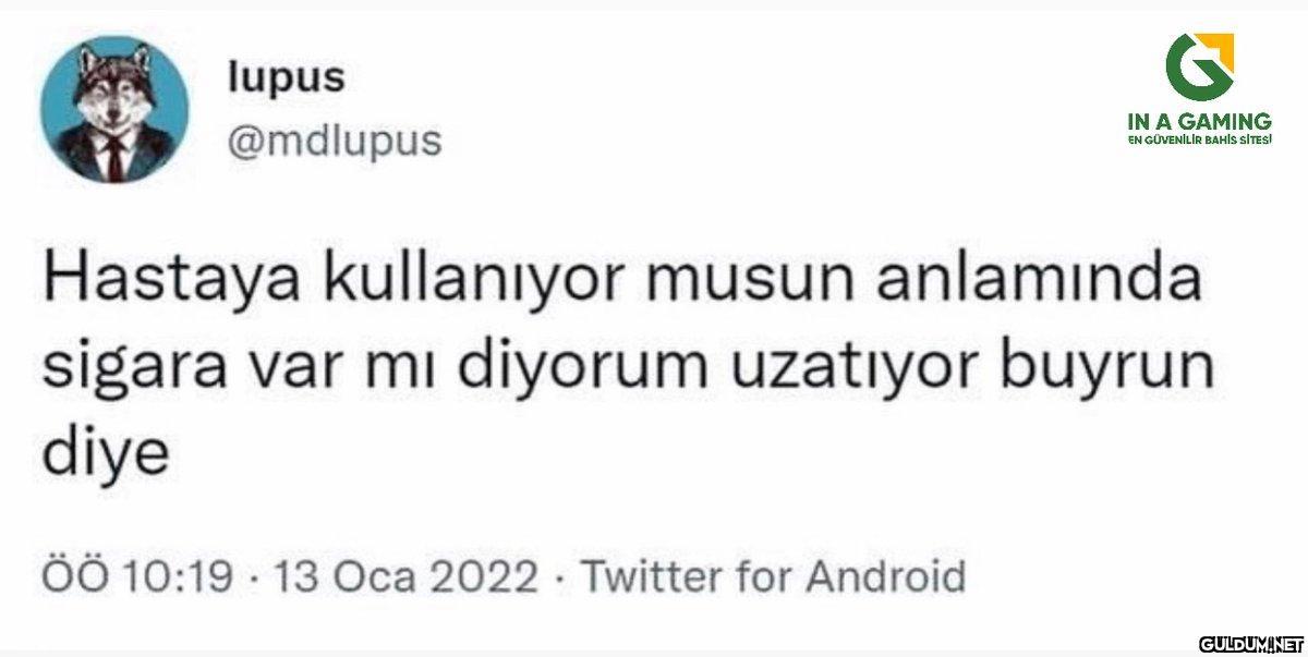lupus @mdlupus IN A GAMING...