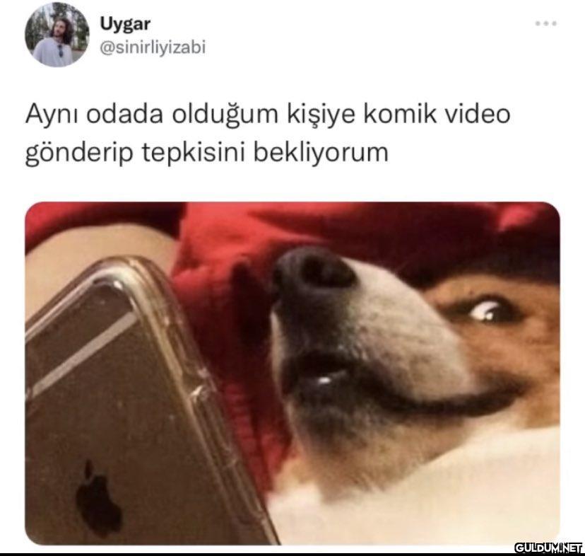 Uygar @sinirliyizabi Aynı...