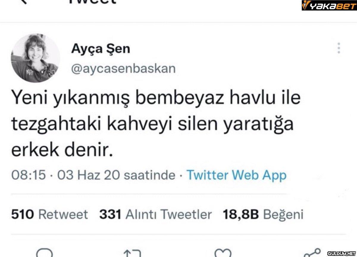 Ayça Şen @aycasenbaskan...