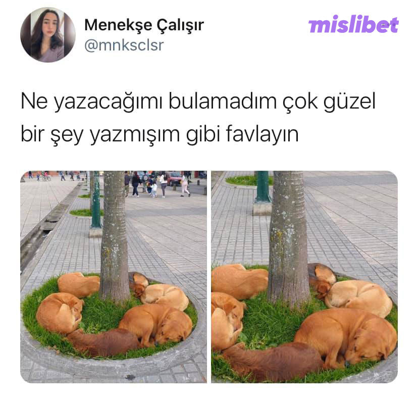 Çok tatlılar😇...