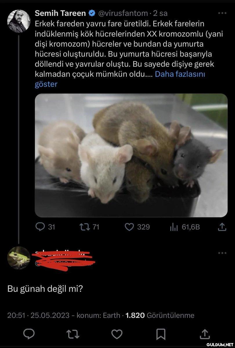 Şirk...