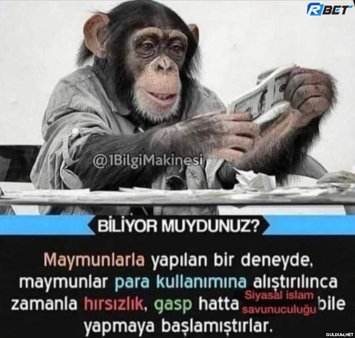 @1BilgiMakinesi RBET...