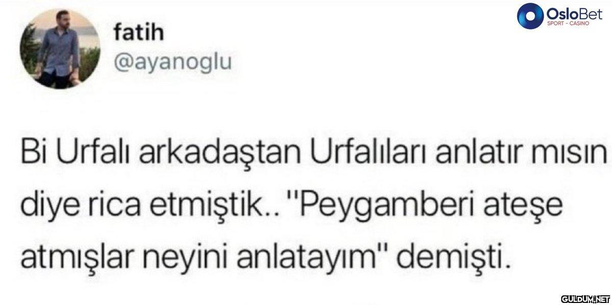 fatih @ayanoglu OsloBet...