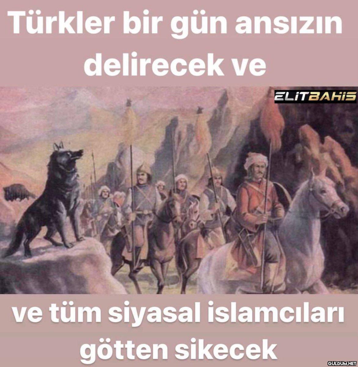 Türkler bir gün ansızın...