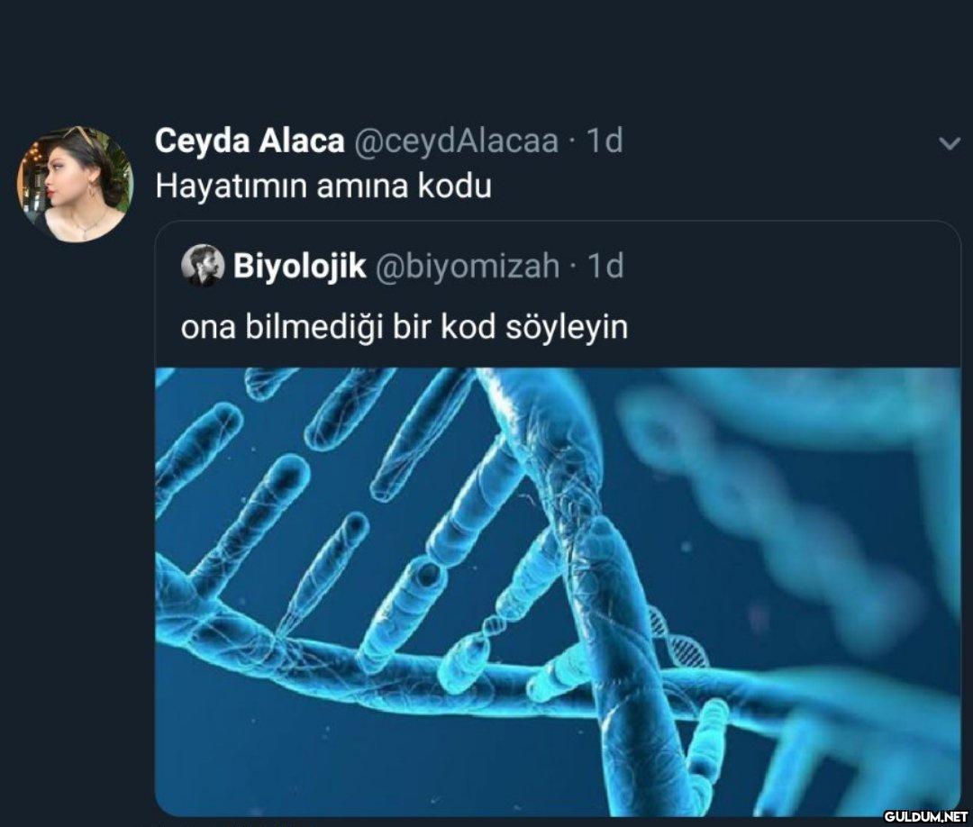 https://t.co/1bqa3NWoa6 ...