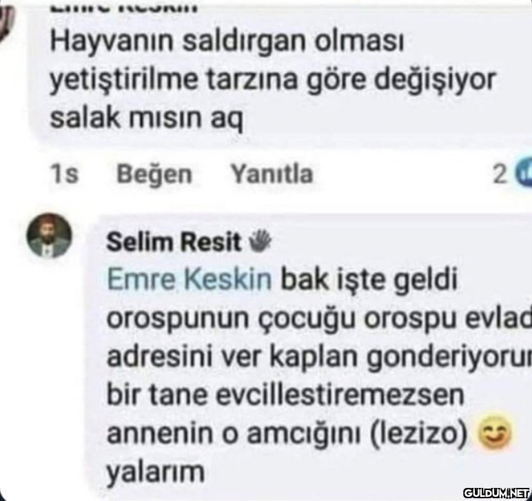 MARGAR Hayvanın saldırgan...