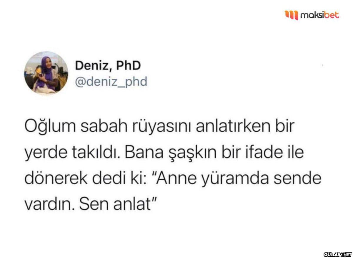 Deniz, PhD @deniz_phd...
