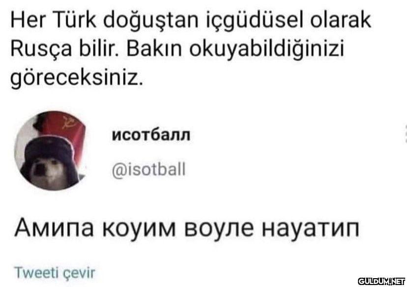 Her Türk doğuştan...