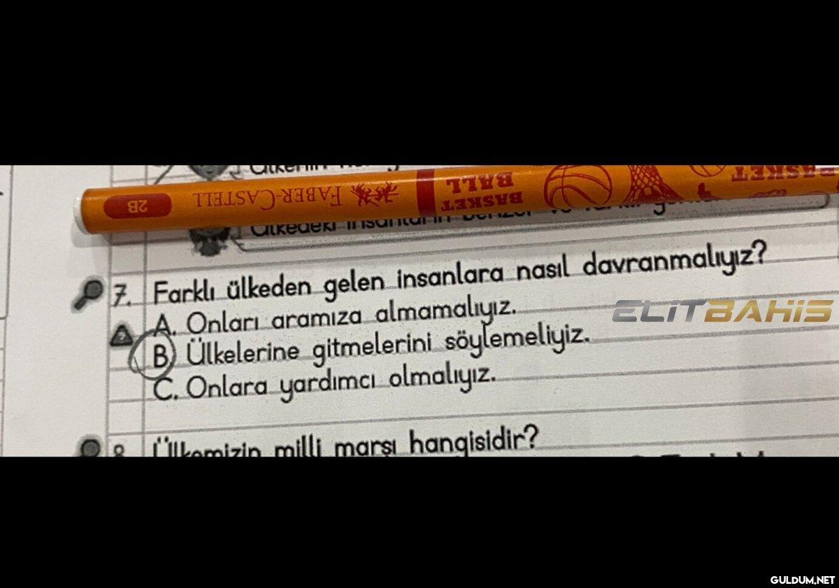 Yeğenimin sınavında çıkan...