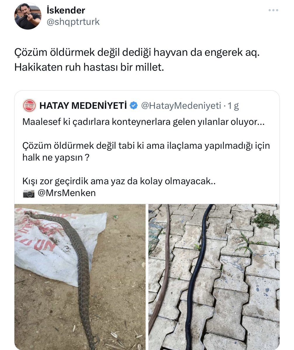 Ne düşünüyorsunuz?...