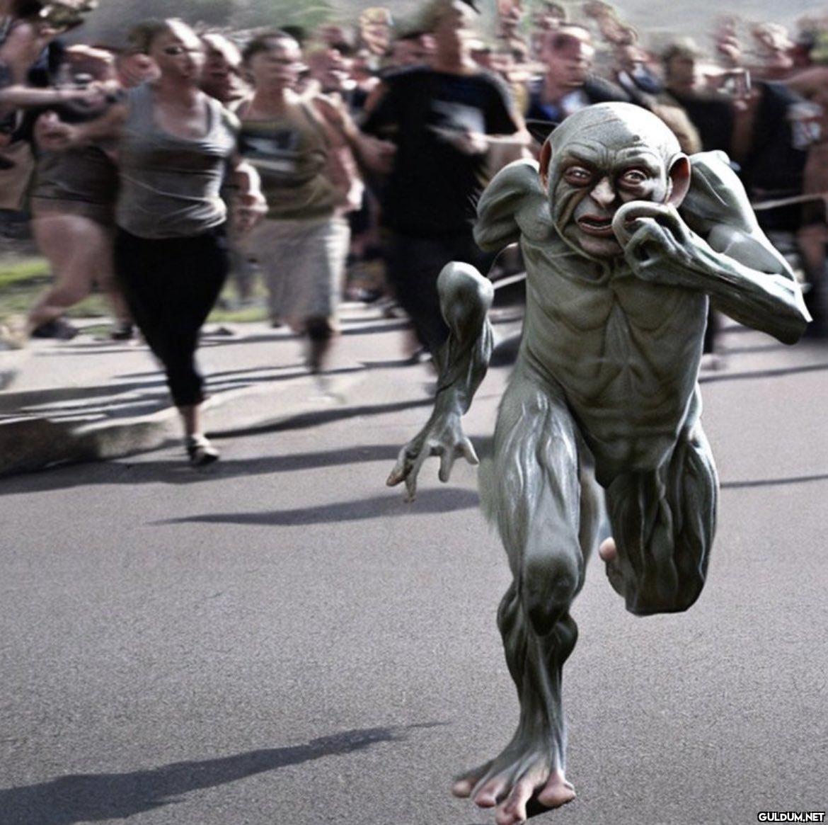 Town chasing a troll...