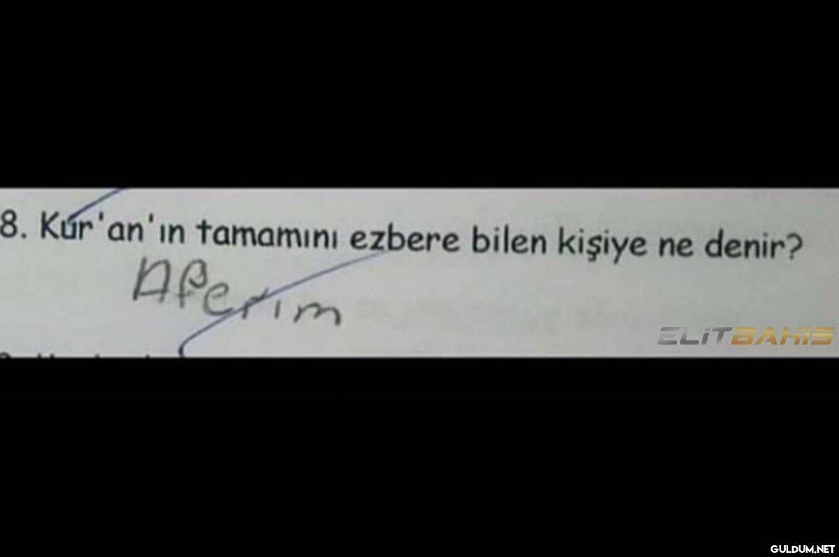hajskkdkdkdkkdkdlf...