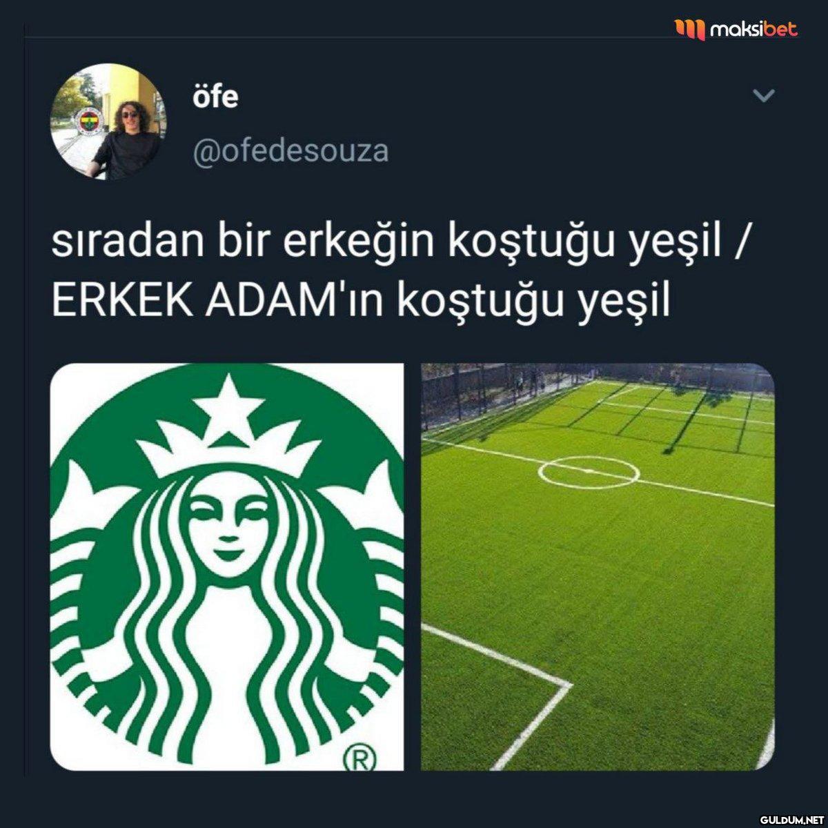 öfe @ofedesouza maksibet...