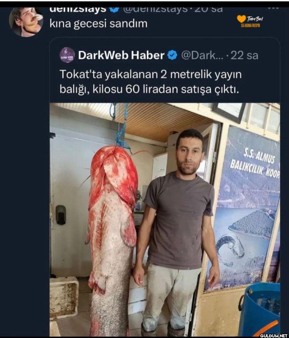 ahskdlflgllfşdşd   ...