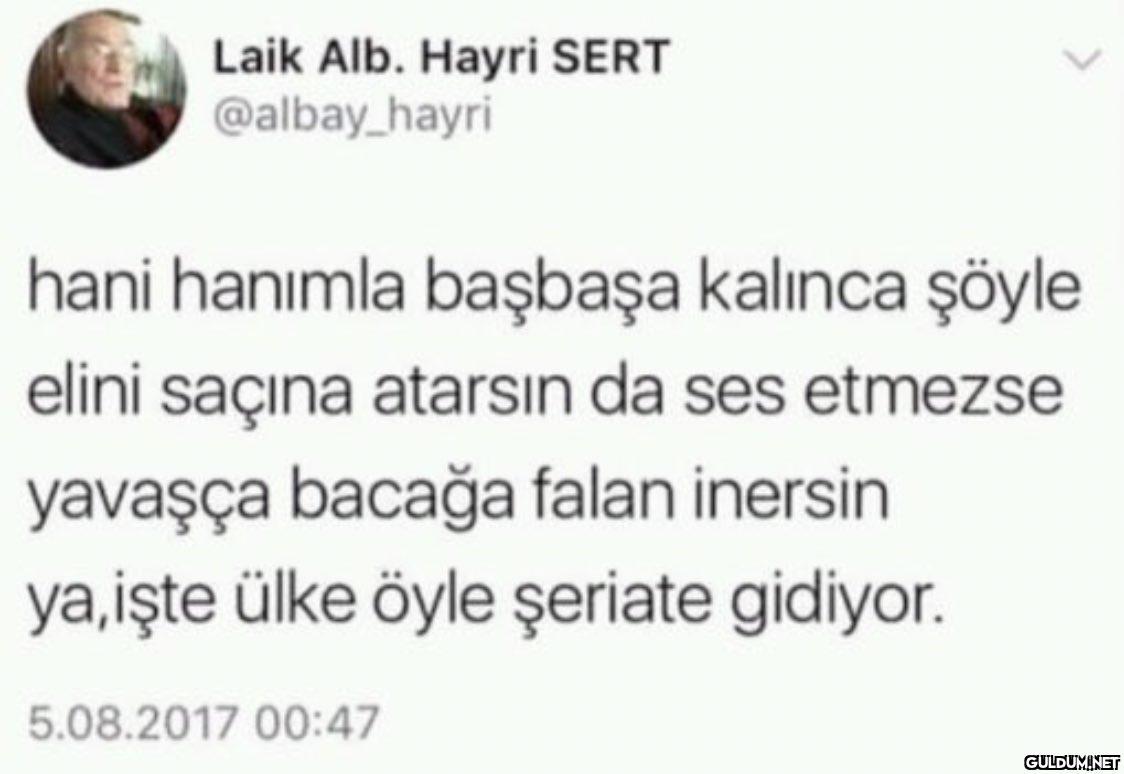 Laik Alb. Hayri SERT...