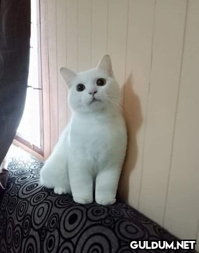 😍 https://t.co/2wXmNDMUGU  Kaynak