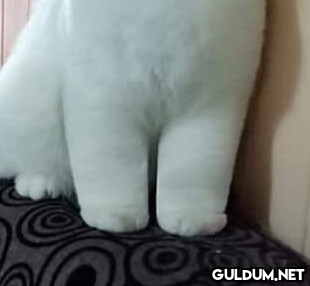 😍 https://t.co/2wXmNDMUGU  Kaynak