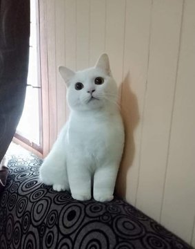 😍 https://t.co/2wXmNDMUGU  Kaynak
