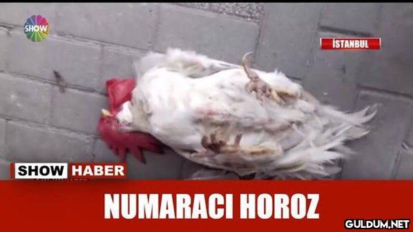 @SansEseriMi...