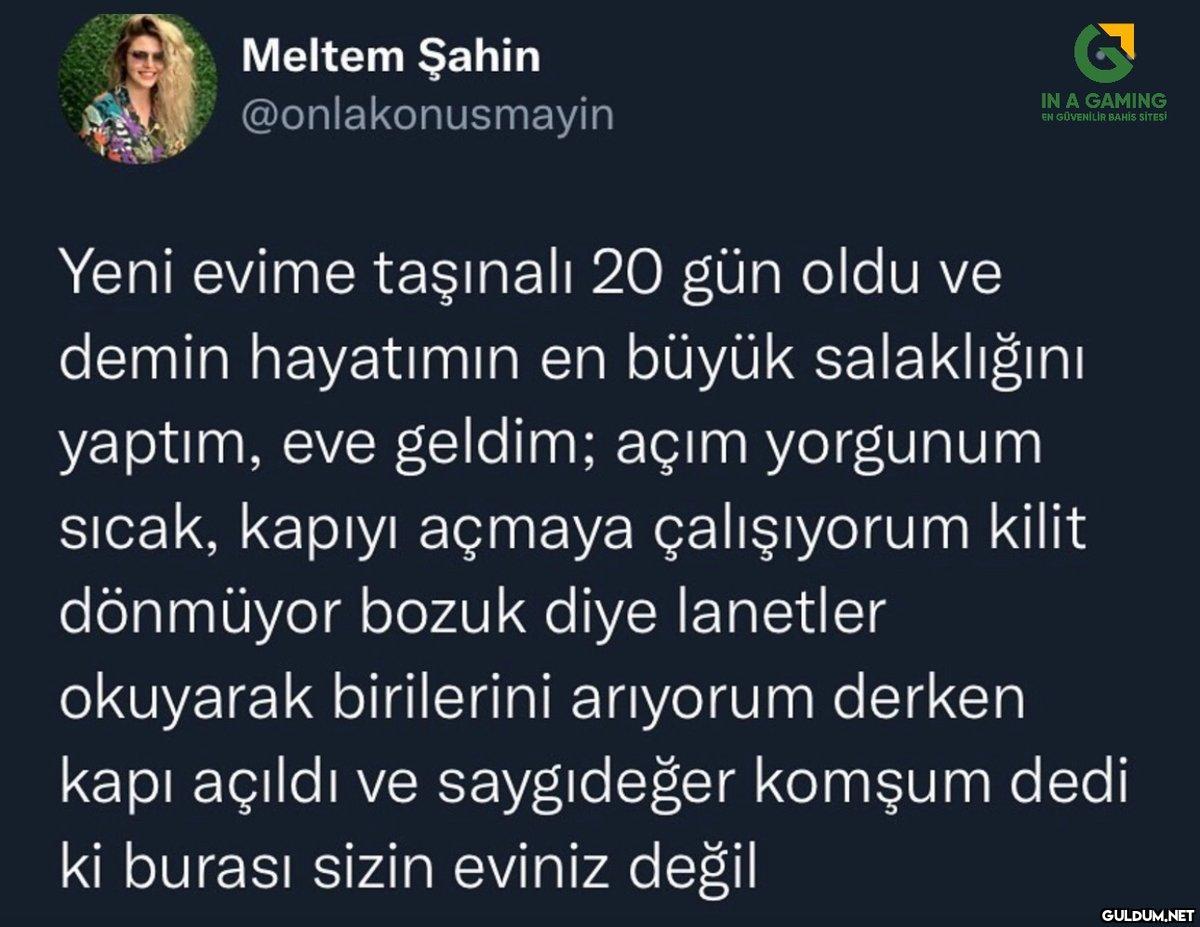Meltem Şahin...
