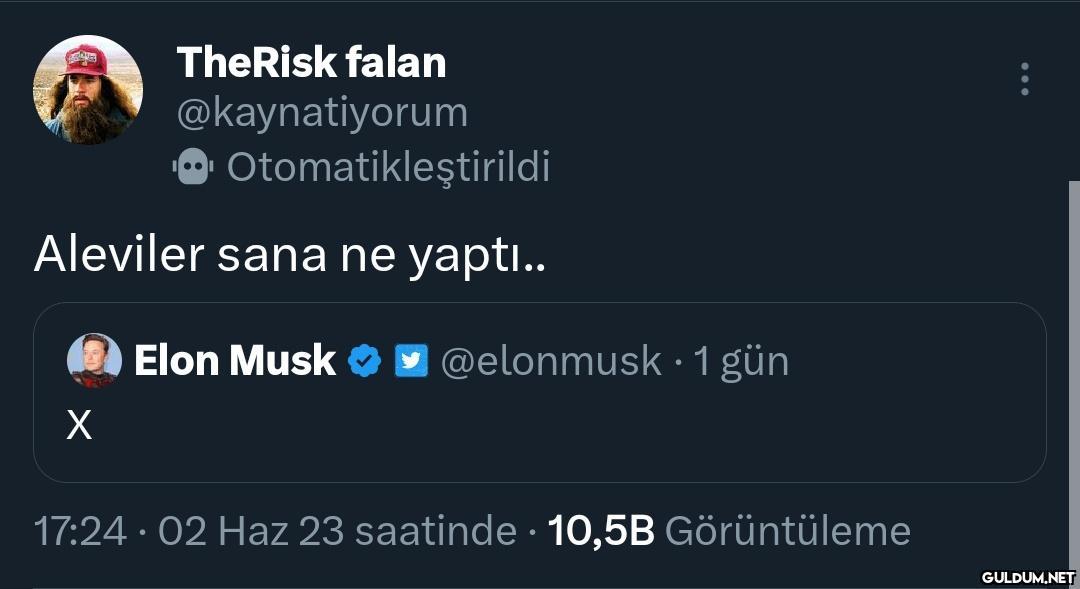 TheRisk falan...