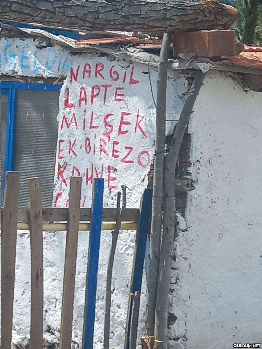 Benim kafayı toplayacak...