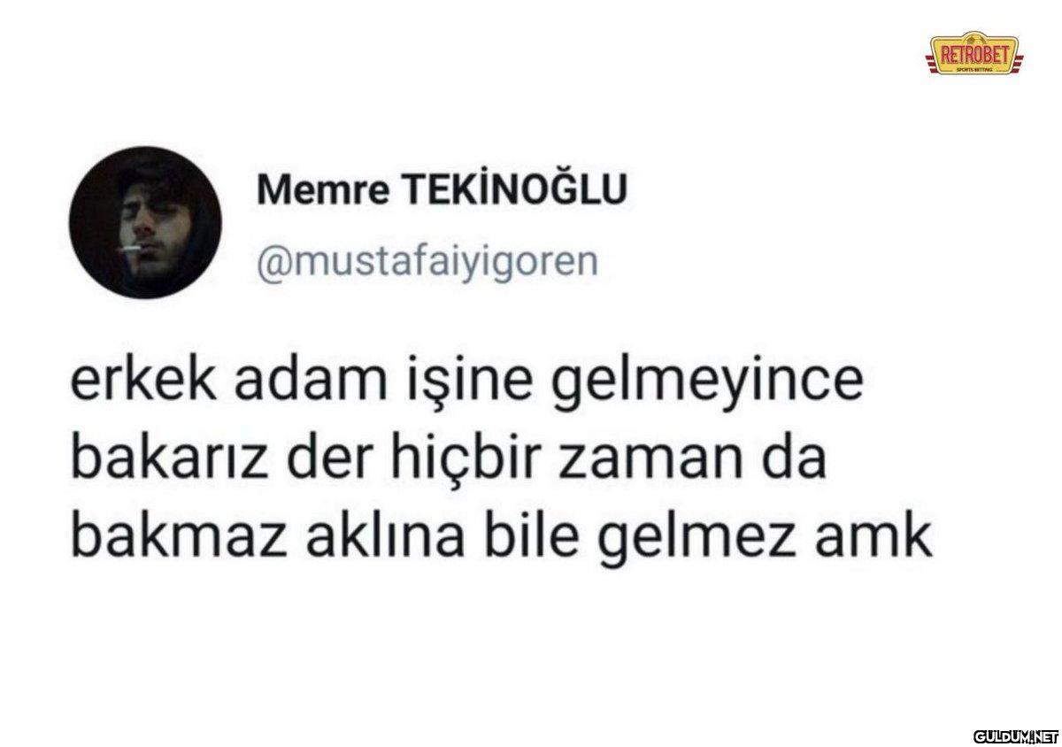 Memre TEKİNOĞLU...