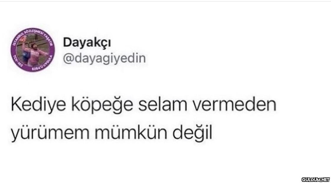 https://t.co/6jzmY9CIMj  ...