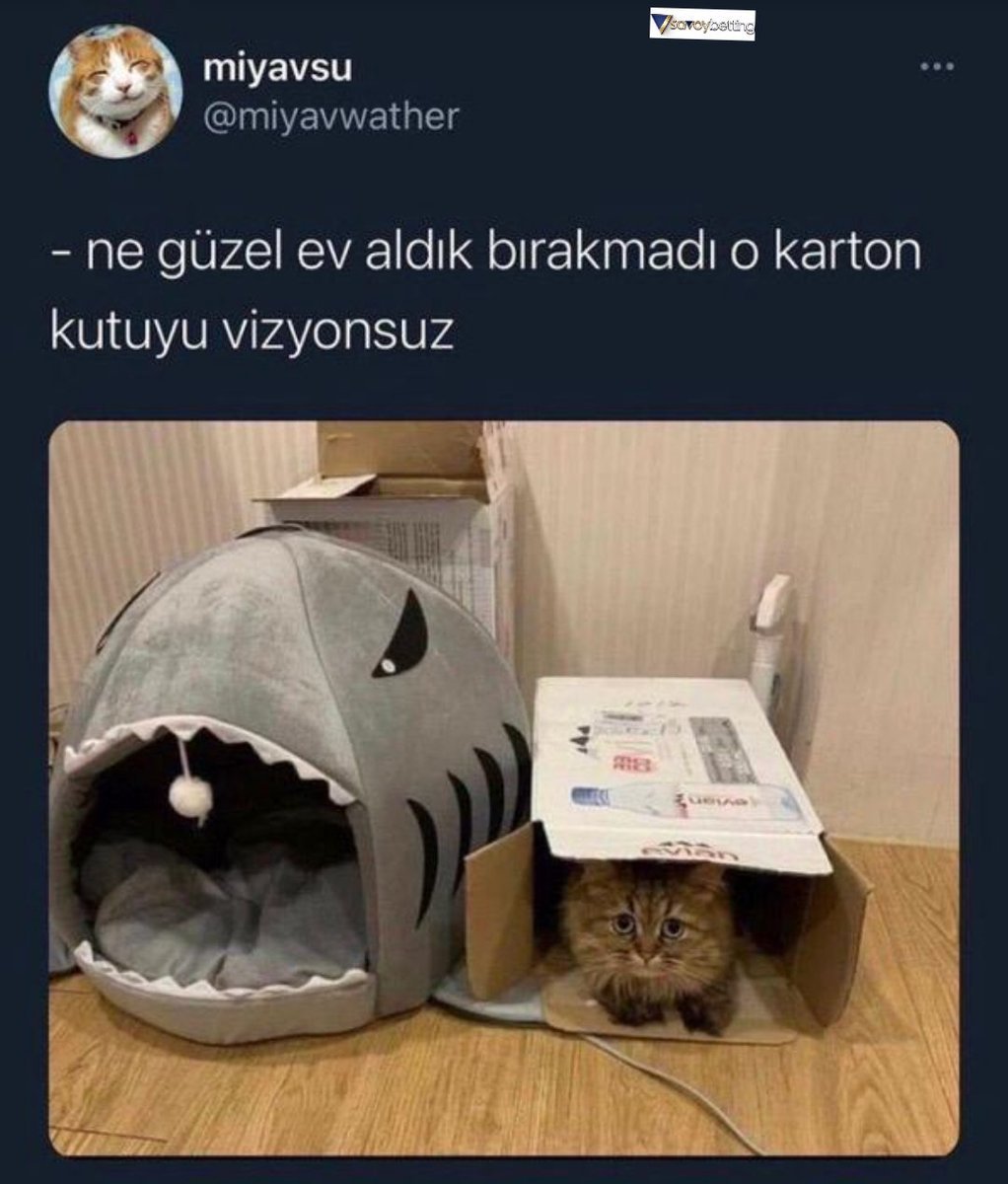 https://t.co/3uhK2dtCAU  ...