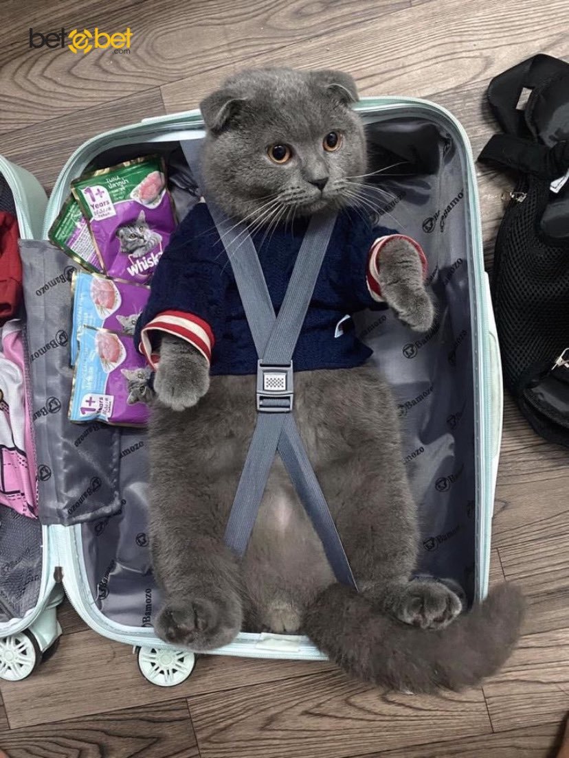 Şunun tatlılığa bak...