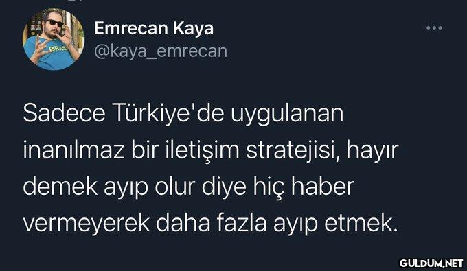 bitki örtümüz...