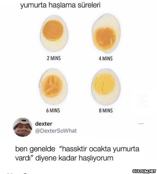 yumurta haşlama süreleri 2...