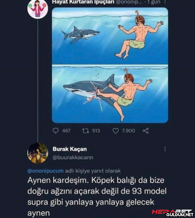 Hayat Kurtaran Ipuçları...