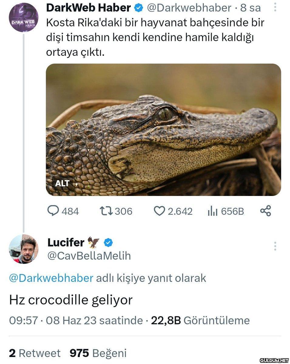 DARK WEB HABER DarkWeb...