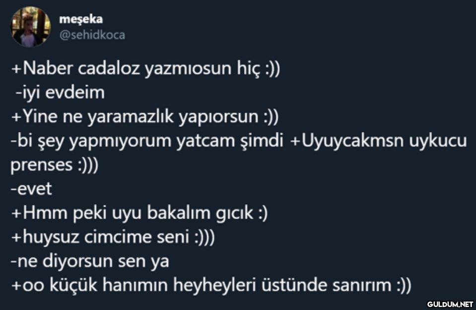 meşeka @sehidkoca +Naber...