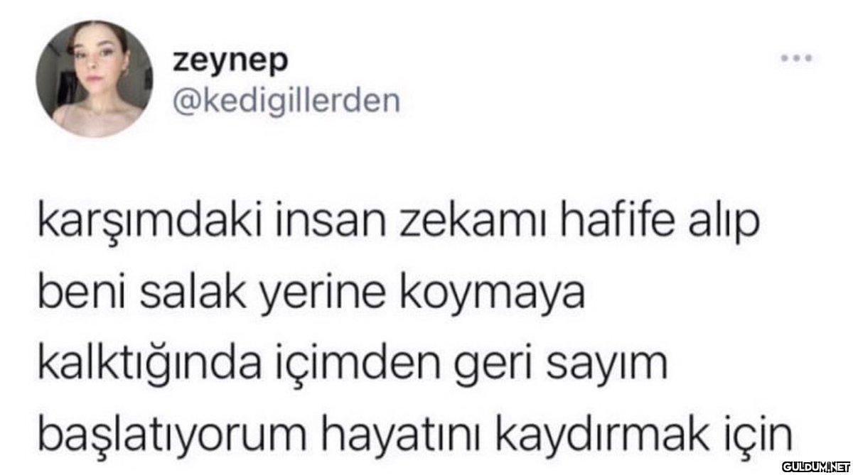 zeynep @kedigillerden...