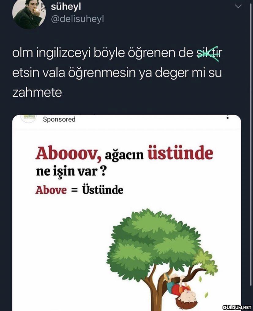 süheyl @delisuheyl olm...