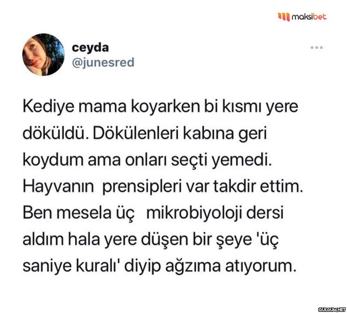 ceyda @junesred maksibet...
