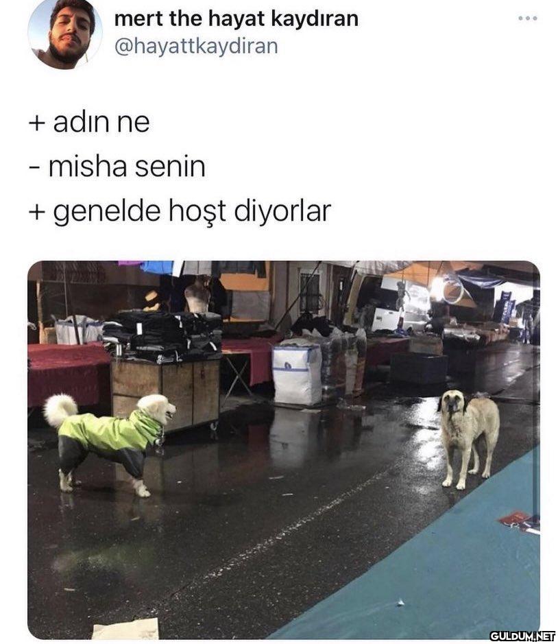 mert the hayat kaydıran...