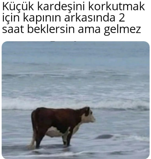 Küçük kardeşini korkutmak...