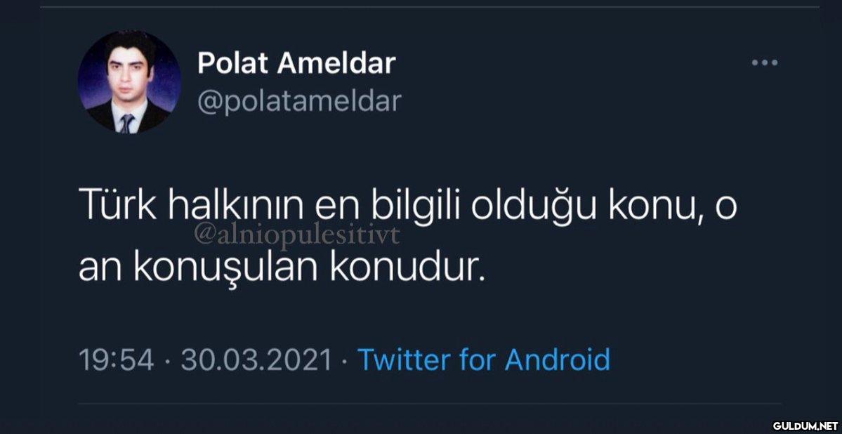 Polat Ameldar...