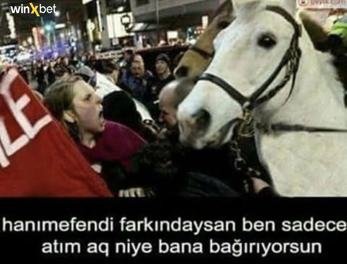 winxbet hanımefendi...
