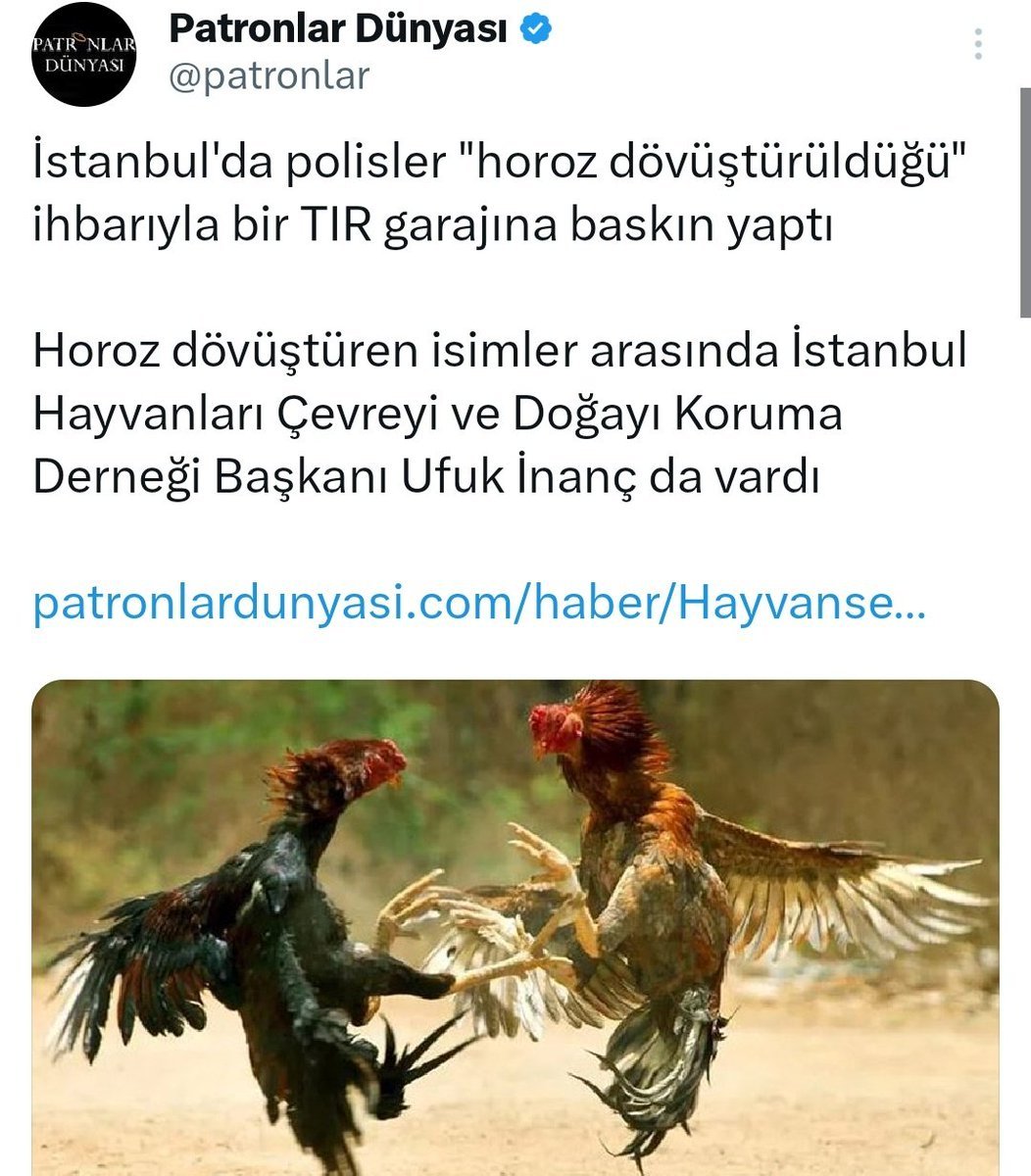 dernek başkanı: dövüşü...