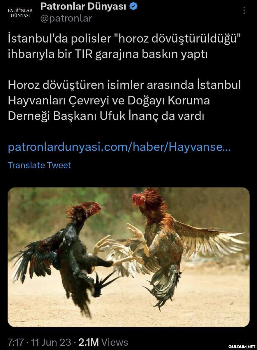 https://t.co/8EGJekNLjF ...