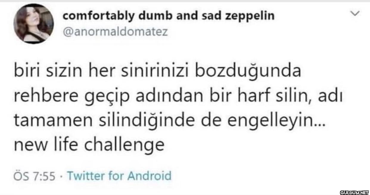 comfortably dumb and sad...