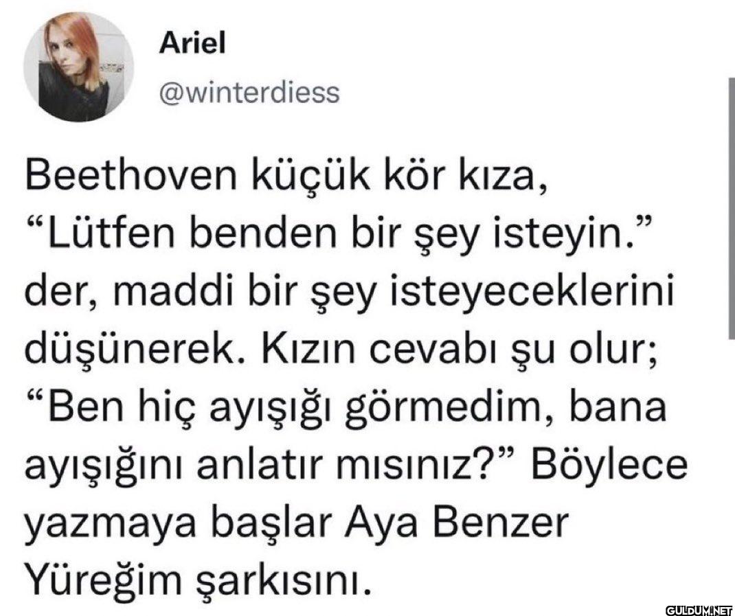 Beethoven küçük kör kıza,...